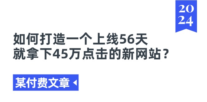 （11420期）某付费文章《如何打造一个上线56天就拿下45万点击的新网站？》-天孤无涯网