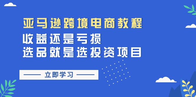 （11432期）亚马逊跨境电商教程：收益还是亏损！选品就是选投资项目-天孤无涯网