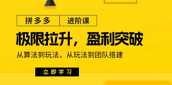 （11435期）拼多多·进阶课：极限拉升/盈利突破：从算法到玩法 从玩法到团队搭建-18节-天孤无涯网