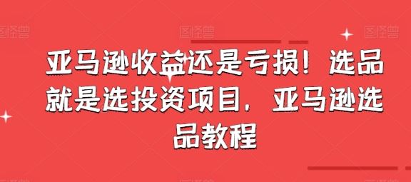 亚马逊收益还是亏损！选品就是选投资项目，亚马逊选品教程-天孤无涯网