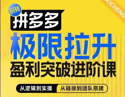拼多多极限拉升盈利突破进阶课，​从算法到玩法，从玩法到团队搭建，体系化系统性帮助商家实现利润提升-天孤无涯网