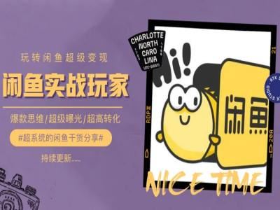 手把手教你0到1系统玩转闲鱼变现，爆款思维/超级曝光/超高转化-天孤无涯网