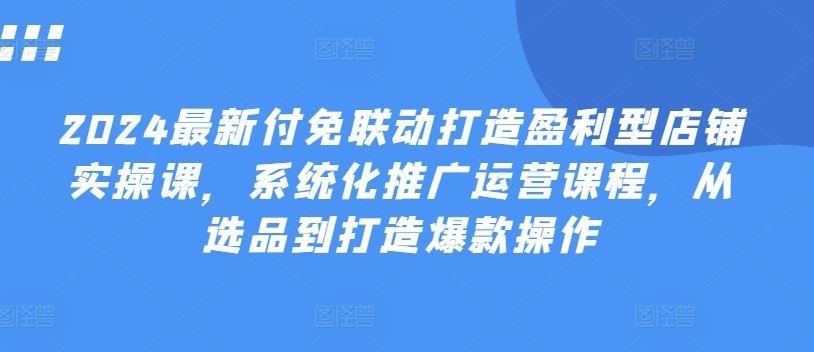 2024最新付免联动打造盈利型店铺实操课，​系统化推广运营课程，从选品到打造爆款操作-天孤无涯网
