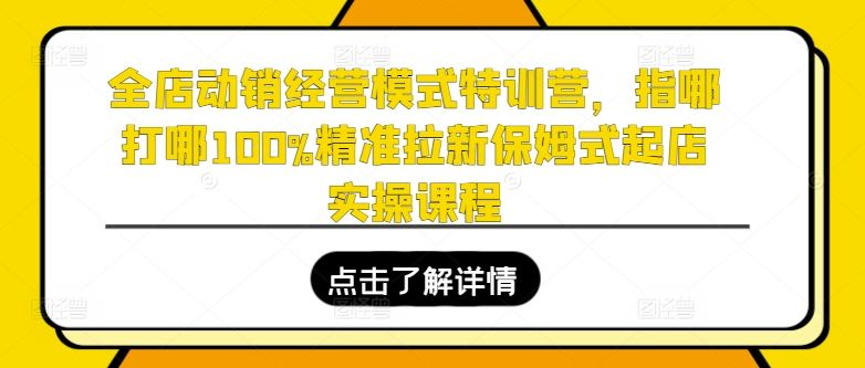 全店动销经营模式特训营，指哪打哪100%精准拉新保姆式起店实操课程-天孤无涯网