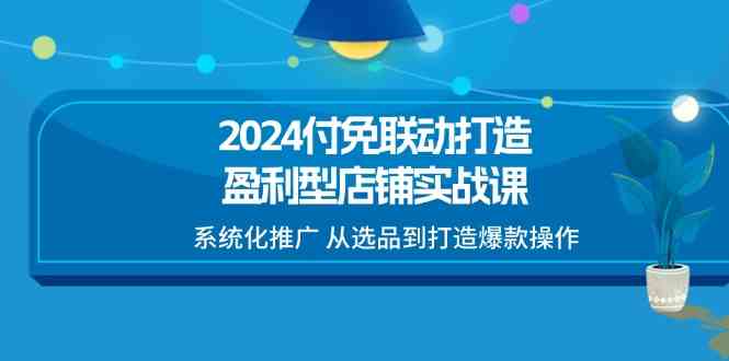 2024付免联动打造盈利型店铺实战课，系统化推广 从选品到打造爆款操作-天孤无涯网