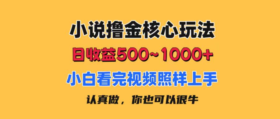 （11461期）小说撸金核心玩法，日收益500-1000+，小白看完照样上手，0成本有手就行-天孤无涯网