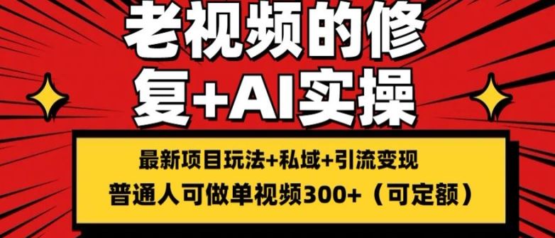 修复老视频的玩法，搬砖+引流的变现(可持久)，单条收益300+【揭秘】-天孤无涯网