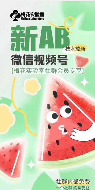 梅花实验室2024年AB技术视频号AB合成破解版-天孤无涯网
