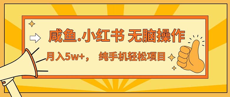 （11524期）2024最赚钱的项目，咸鱼，小红书无脑操作，每单利润500+，轻松月入5万+…-天孤无涯网