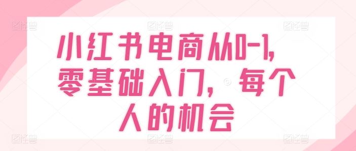 小红书电商从0-1，零基础入门，每个人的机会-天孤无涯网
