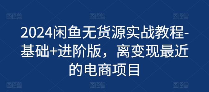 2024闲鱼无货源实战教程-基础+进阶版，离变现最近的电商项目-天孤无涯网