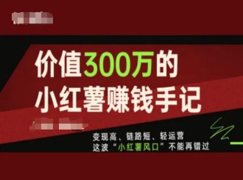 价值300万的小红书赚钱手记，变现高、链路短、轻运营，这波“小红薯风口”不能再错过-天孤无涯网