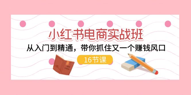 （11533期）小红书电商实战班，从入门到精通，带你抓住又一个赚钱风口（16节）-天孤无涯网