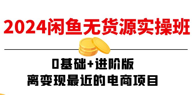 （11535期）2024闲鱼-无货源实操班：0基础+进阶版，离变现最近的电商项目（15节）-天孤无涯网