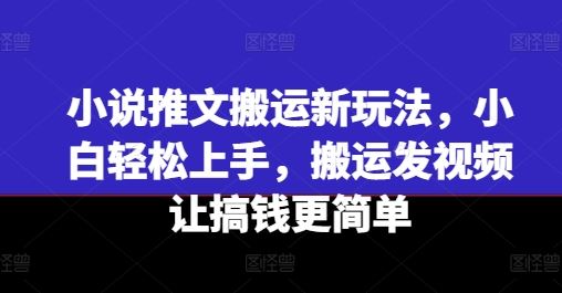 小说推文搬运新玩法，小白轻松上手，搬运发视频让搞钱更简单-天孤无涯网