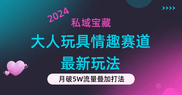（11541期）私域宝藏：大人玩具情趣赛道合规新玩法，零投入，私域超高流量成单率高-天孤无涯网