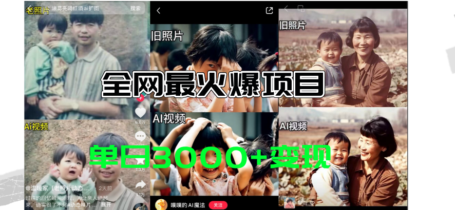 （11546期）全网爆火的AI让老照片动起来教程，蹭热点日赚3000+，内含免费工具一键…-天孤无涯网