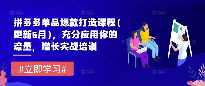 拼多多单品爆款打造课程(更新6月)，充分应用你的流量，增长实战培训-天孤无涯网