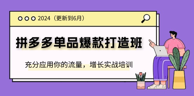 （11556期）2024拼多多-单品爆款打造班(更新6月)，充分应用你的流量，增长实战培训-天孤无涯网