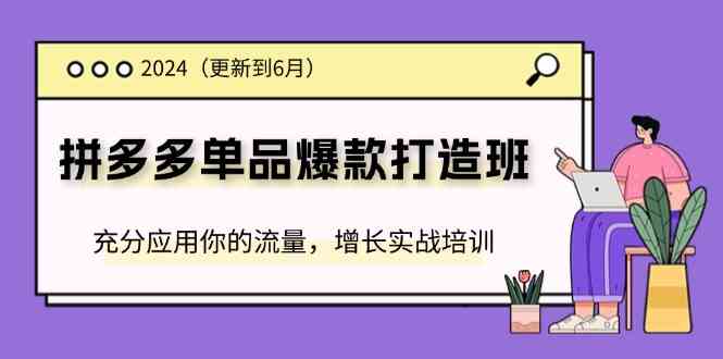 2024拼多多单品爆款打造班，充分应用你的流量，增长实战培训(更新6月)-天孤无涯网