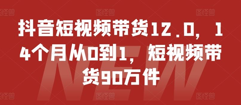 抖音短视频带货12.0，14个月从0到1，短视频带货90万件-天孤无涯网
