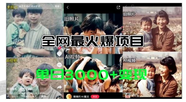 全网爆火的AI让老照片动起来教程，蹭热点日赚3k+，内含免费工具一键可生成【揭秘】-天孤无涯网