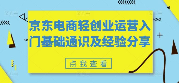 京东电商轻创业运营入门基础通识及经验分享-天孤无涯网