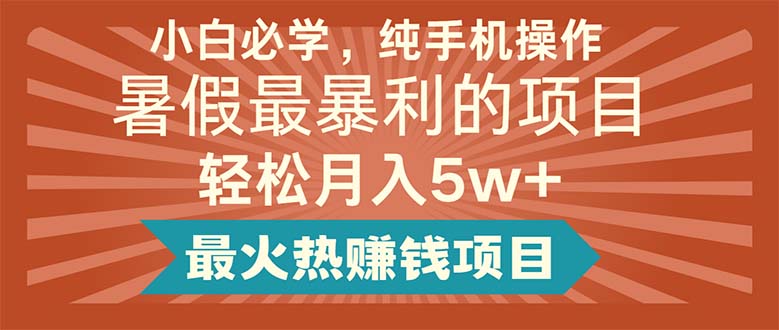 （11583期）小白必学，纯手机操作，暑假最暴利的项目轻松月入5w+最火热赚钱项目-天孤无涯网