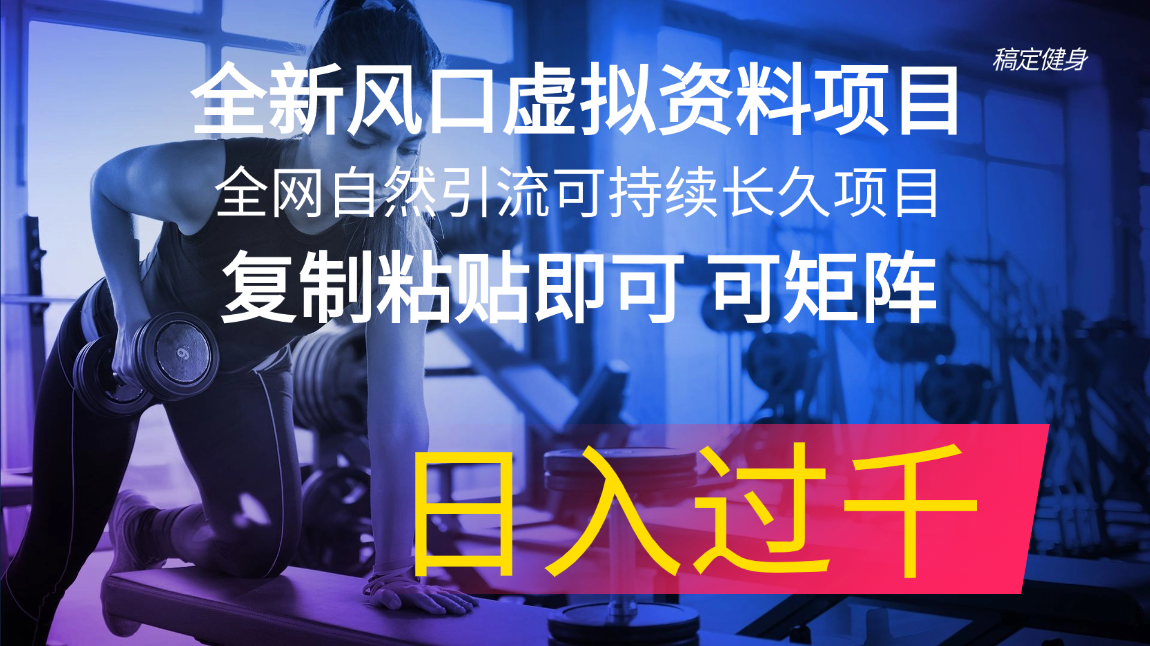 （11587期）全新风口虚拟资料项目 全网自然引流可持续长久项目 复制粘贴即可可矩阵…-天孤无涯网