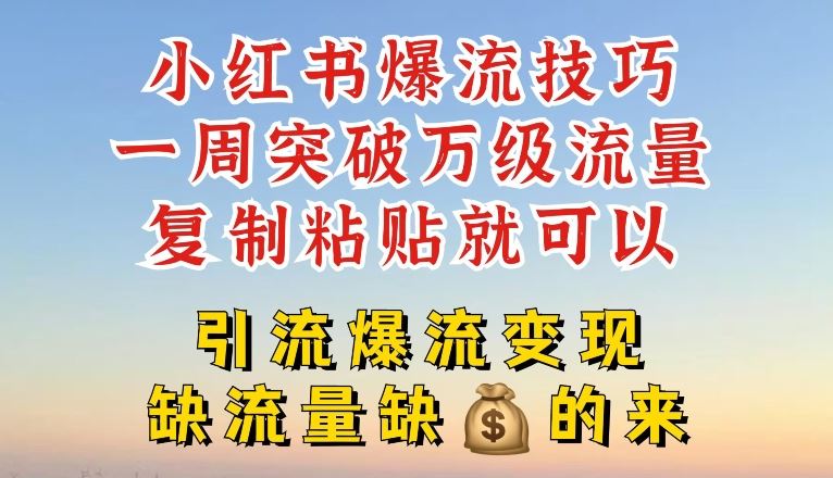 小红书爆流技巧，一周突破万级流量，复制粘贴就可以，引流爆流变现【揭秘】-天孤无涯网