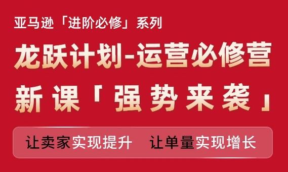 亚马逊进阶必修系列，龙跃计划-运营必修营新课，让卖家实现提升 让单量实现增长-天孤无涯网