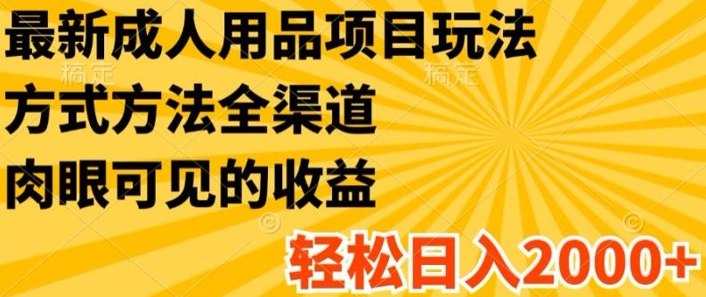 最新成人用品项目玩法，方式方法全渠道，轻松日入2K+【揭秘】-天孤无涯网