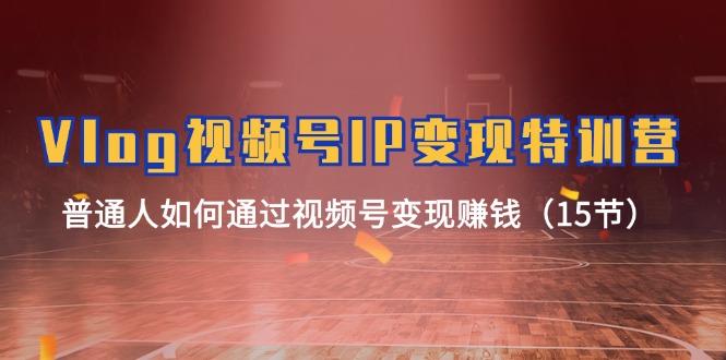 （11654期）Vlog 视频号IP变现特训营，普通人如何通过视频号变现赚钱（15节）-天孤无涯网