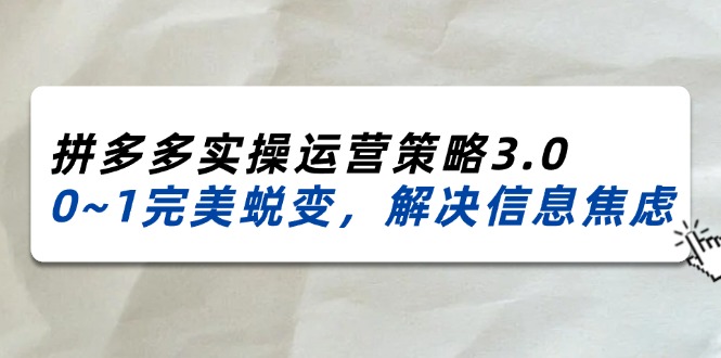 （11658期）2024_2025拼多多实操运营策略3.0，0~1完美蜕变，解决信息焦虑（38节）-天孤无涯网