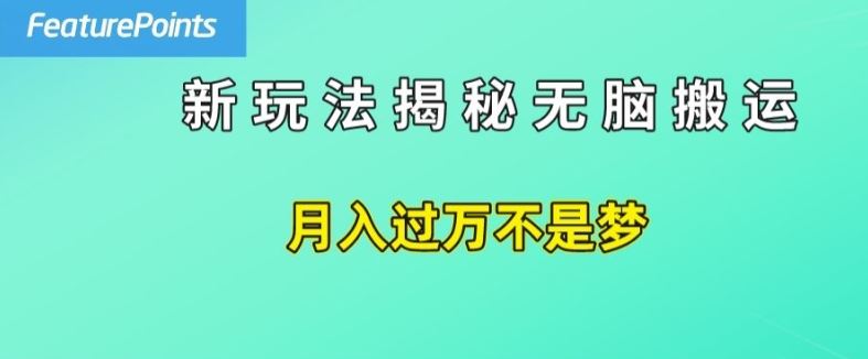 简单操作，每天50美元收入，搬运就是赚钱的秘诀【揭秘】-天孤无涯网