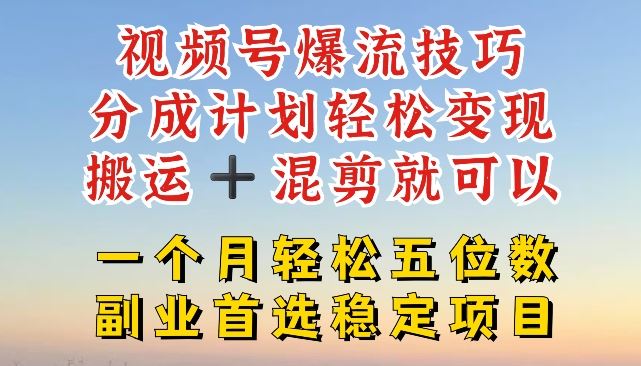 视频号爆流技巧，分成计划轻松变现，搬运 +混剪就可以，一个月轻松五位数稳定项目【揭秘】-天孤无涯网