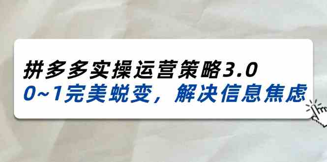 2024-2025拼多多实操运营策略3.0，0~1完美蜕变，解决信息焦虑（38节）-天孤无涯网