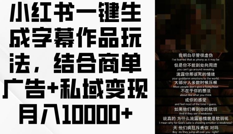 小红书一键生成字幕作品玩法，结合商单广告+私域变现月入1w+【揭秘】-天孤无涯网