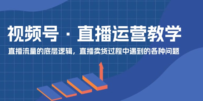 （11687期）视频号 直播运营教学：直播流量的底层逻辑，直播卖货过程中遇到的各种问题-天孤无涯网