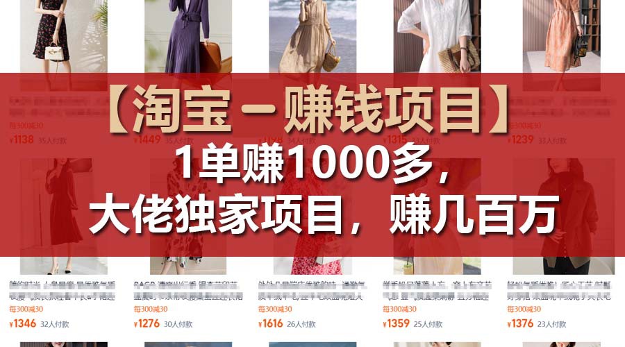 【淘宝赚钱项目】1单可赚1000多，大佬独家项目，年赚几百万-天孤无涯网