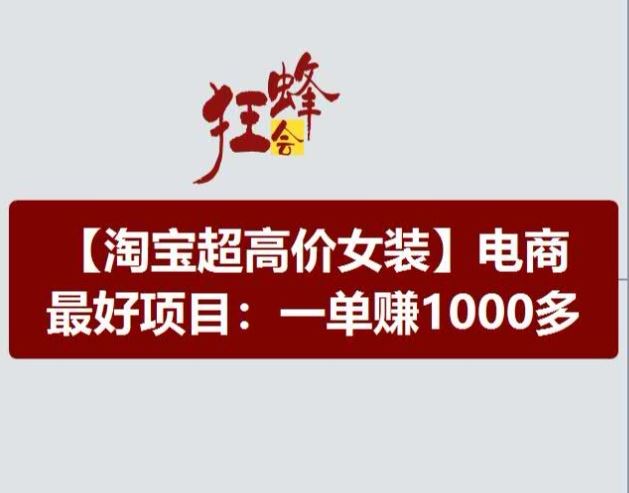 淘宝超高价女装项目，电商最好赛道，一单赚1000多-天孤无涯网