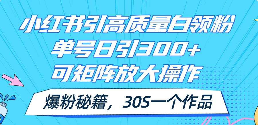 （11692期）小红书引高质量白领粉，单号日引300+，可放大操作，爆粉秘籍！30s一个作品-天孤无涯网