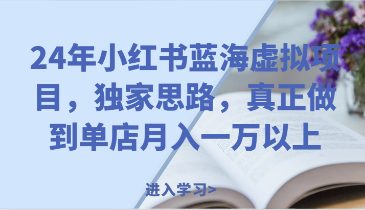 24年小红书蓝海虚拟项目，独家思路，真正做到单店月入一万以上。-天孤无涯网