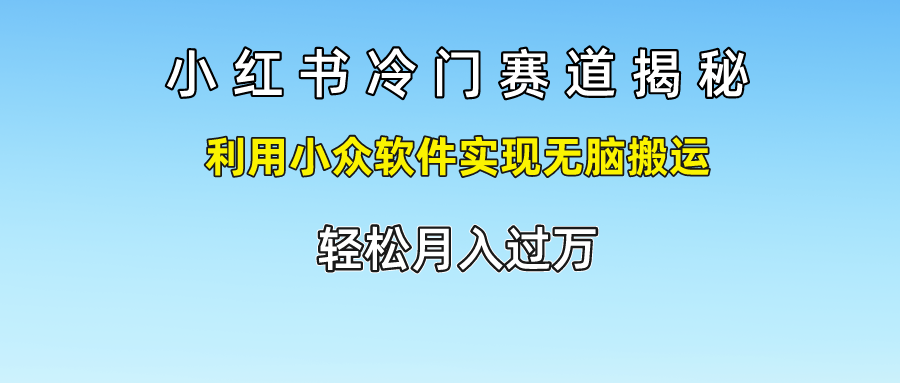 小红书冷门赛道揭秘,利用小众软件实现无脑搬运，轻松月入过万-天孤无涯网