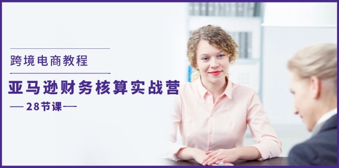 （11706期）跨境电商教程：亚马逊-财务核算实战营（28节课）-天孤无涯网