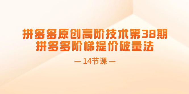 （11704期）拼多多原创高阶技术第38期，拼多多阶梯提价破量法（14节课）-天孤无涯网