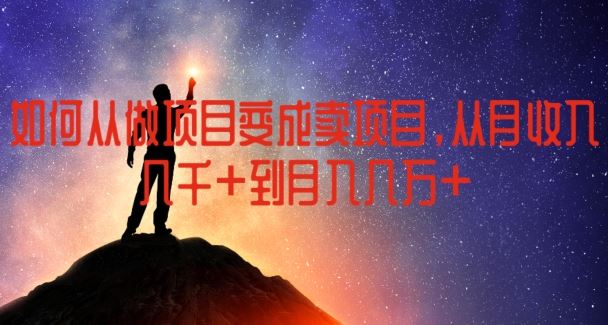 如何从做项目变成卖项目，从月收入几千到月入几万【揭秘】-天孤无涯网