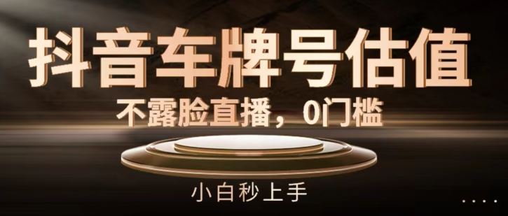 抖音车牌号估值，不露脸直播，0门槛，小白秒上手【揭秘】-天孤无涯网
