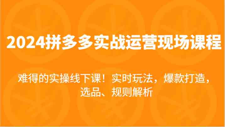2024拼多多实战运营现场课，实时玩法，爆款打造，选品、规则解析，难得的实操线下课！-天孤无涯网
