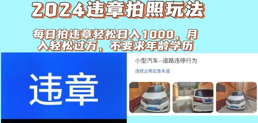 （11743期）2024违章拍照新玩法，推广躺赚+拍照赚钱双模式，日入1000+-天孤无涯网